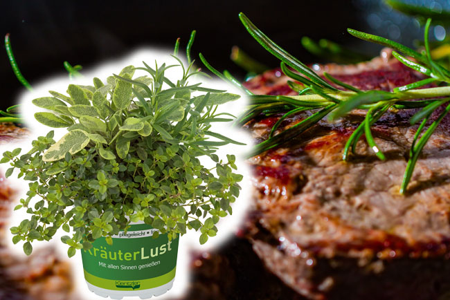 KräuterLust Steakhouse - Steak-Marinade Rezept TrioMio KräuterLust Steakhouse - Steakmarinade Rezept